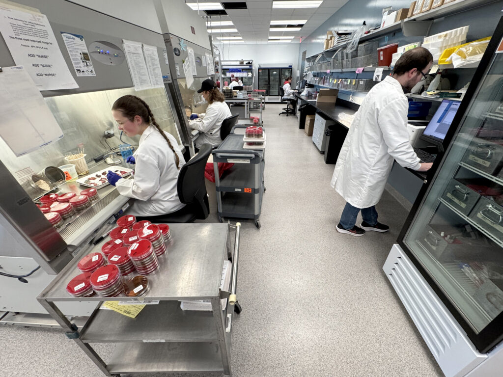 Diagnostics working on samples in the Veterinary Diagnostic Laboratory