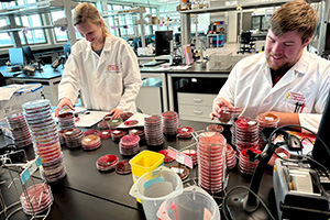 VDL technicians examining samples