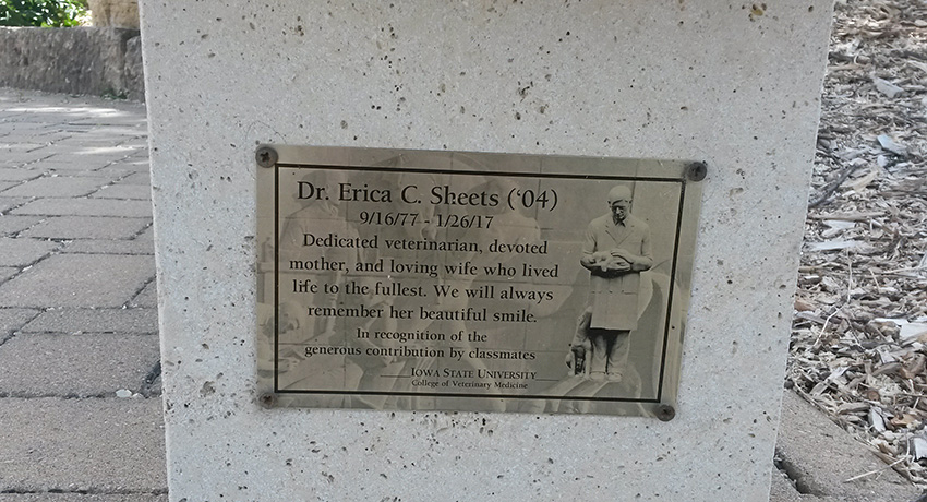 Erica Sheets wall plaque
