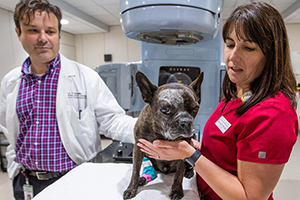 Clinician and Radiation Therapist with canine patient on SRT table