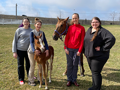 Foal with care team 