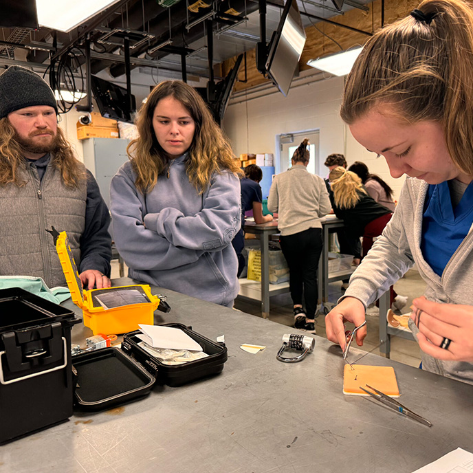 veterinary students reviewing the case clues