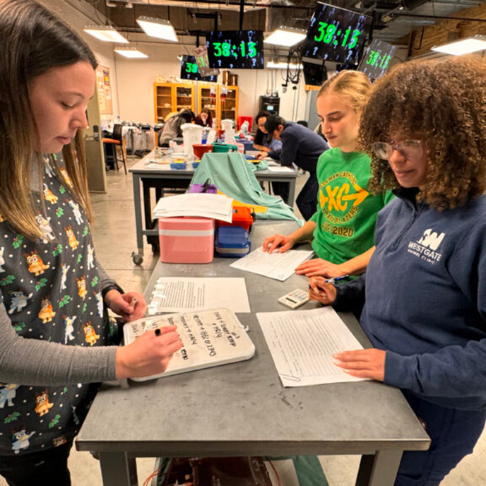 veterinary students reviewing the case clues