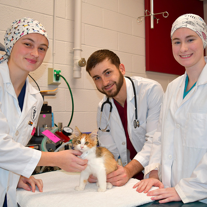 Veterinary students with 5,000 patient in Community Outreach