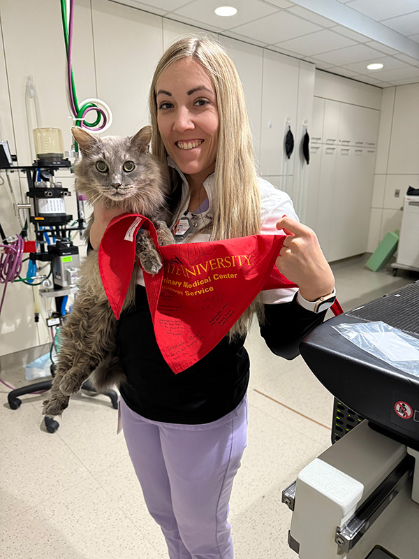 Ghost the cat with Dr. Kozak