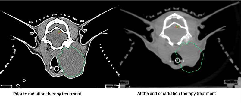 scans before and after radiation therapy