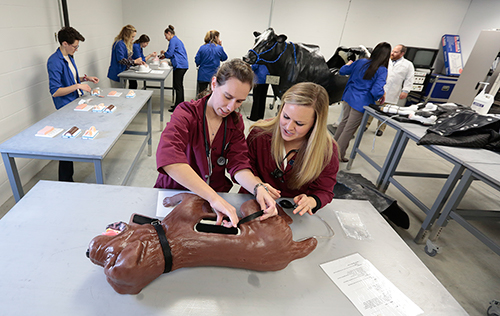 Clinical Skills Laboratory