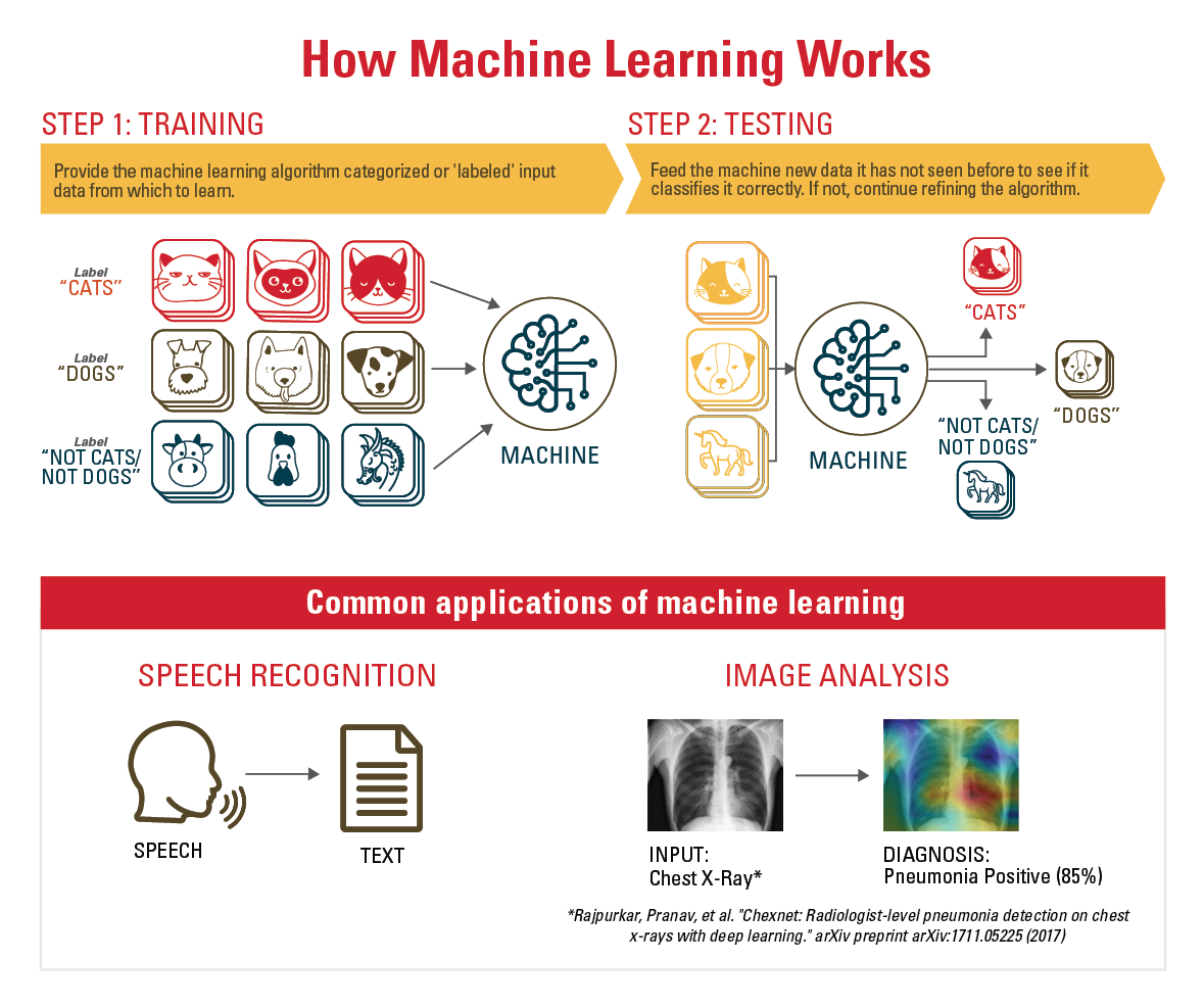 Machine Learning Infographic