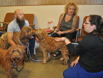 dogs with owners and clinicians in waiting room