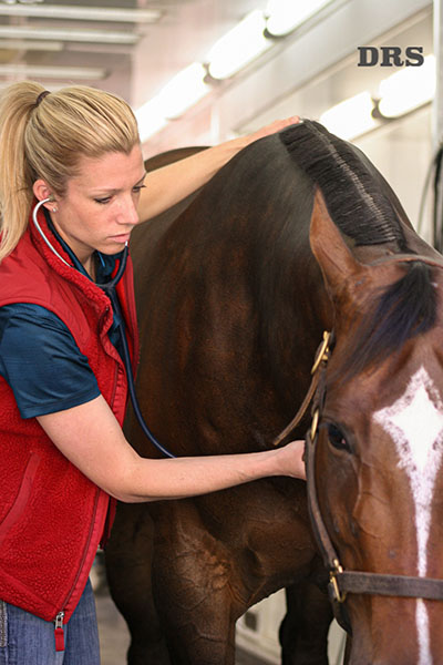 Dr. Sherry Johnson examining horse