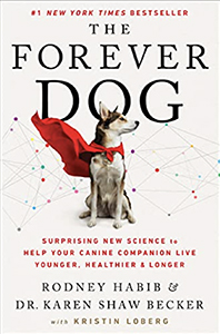 The Forever Dog book cover