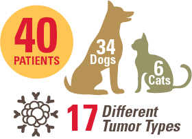 Radiation Oncology infographic