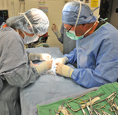 surgical training