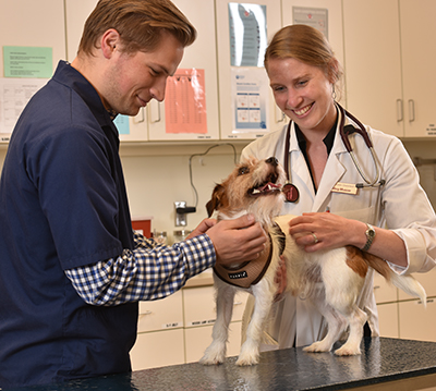 Dr. Musser examining dog with student
