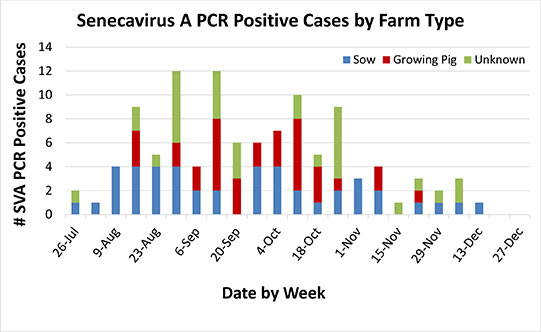 Senecavirus positive cases