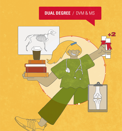 Dual Degree/ DVM & MS