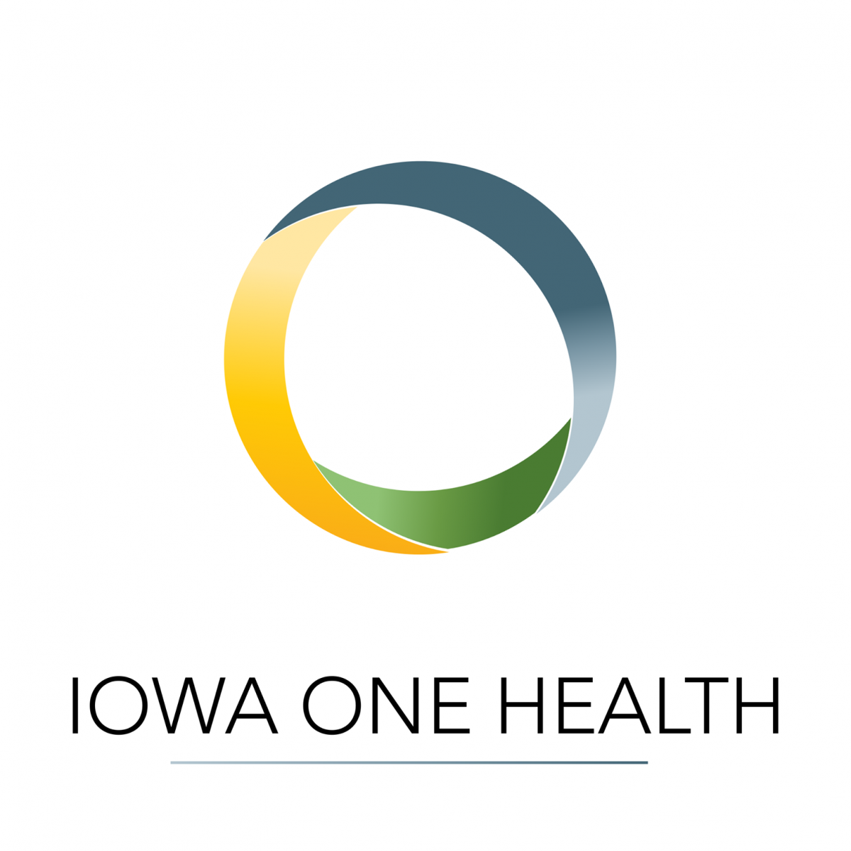 Iowa One Health logo