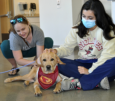 Canine with veterinary students