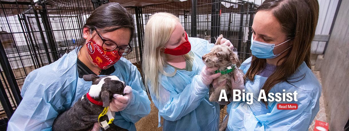 ARL rescued dogs with veterinary students
