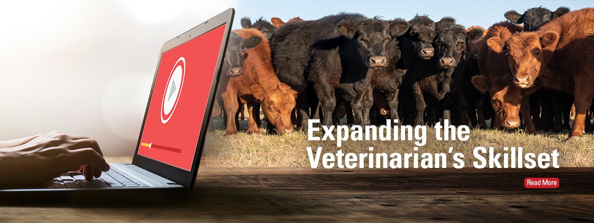 Veterinary Diagnostic and Production Animal Medicine | Iowa State University