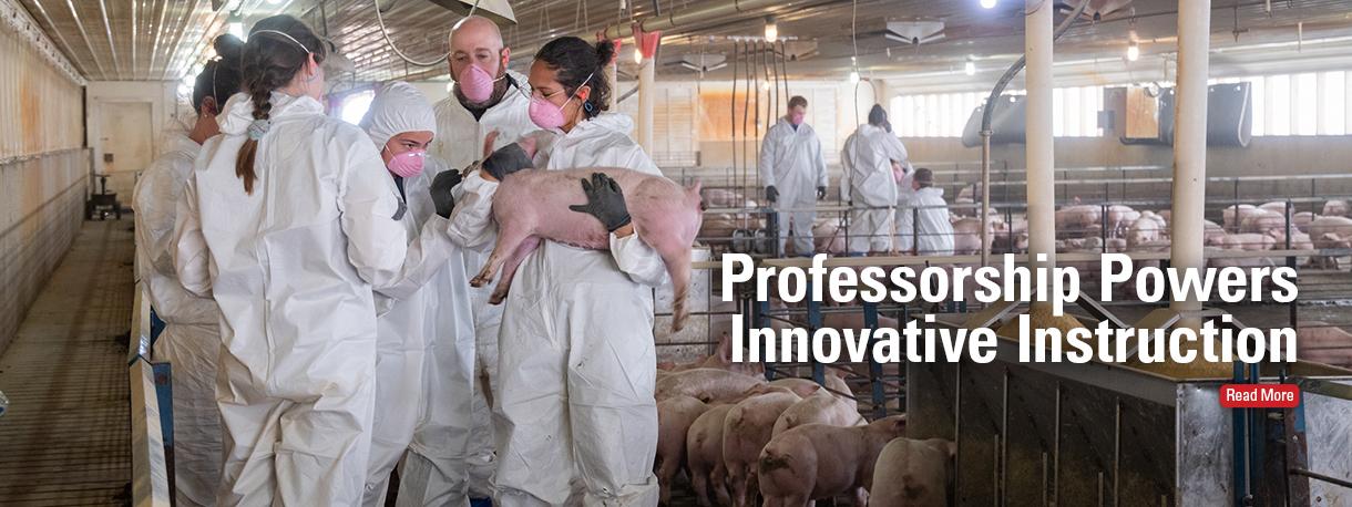Dr. Locke Karriker with students examining swine