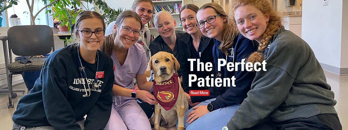 Canine patient Mollie Sue with care team