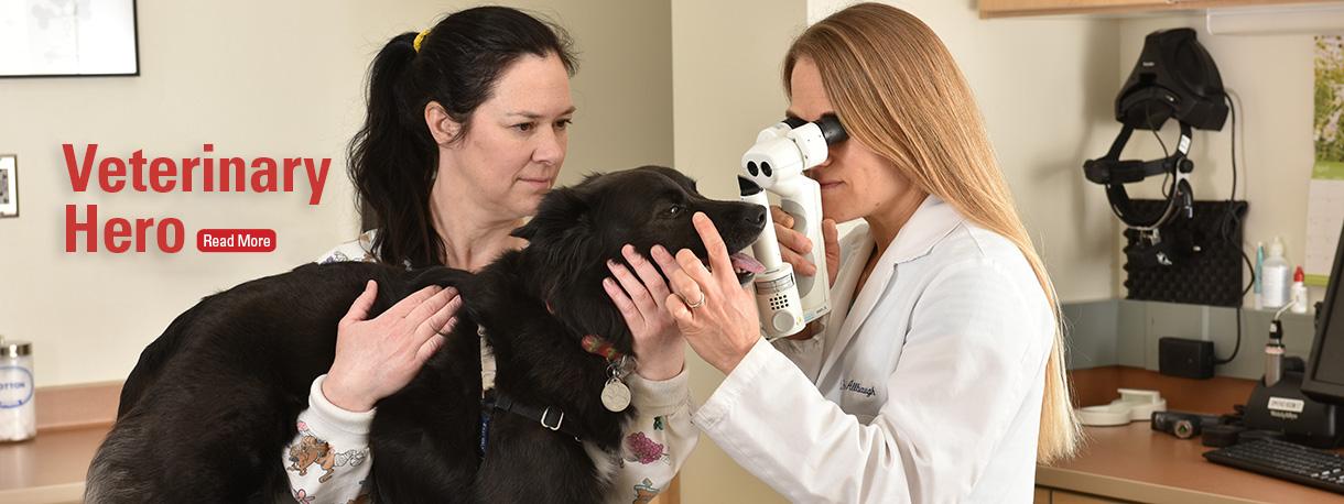 Chimene Peterson and Dr. Rachel Allbaugh examining dog's eye