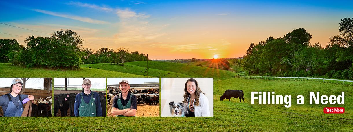veterinary student portraits and cows grazing in a pasture