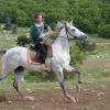  horseback ride