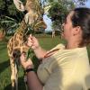 Calie feeding giraffe