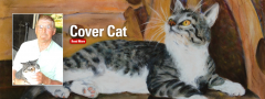 Cover cat banner