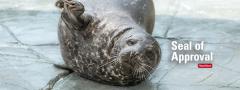 seal laying down