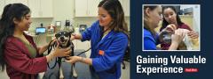 UVIP students examining dog