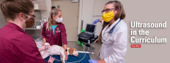 canine ultrasound