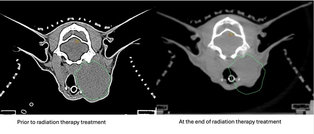 Medical x-ray