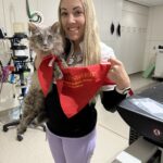 Cat with veterinarian in cancer treatment facility