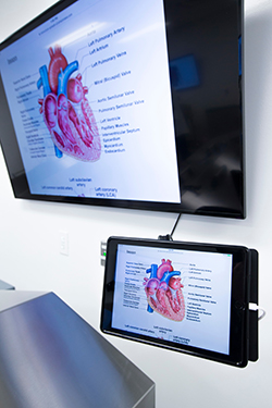 Human Anatomy Lab screen closeup