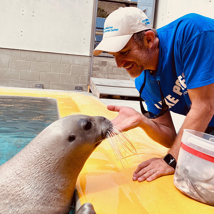 Dr. Shawn Johnson feeding seal