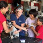 Veterinary student examing dog