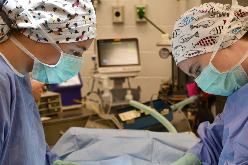 Surgery - closeup of surgeons