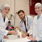 Student vet med surgical team with Patient 5000 in Community Outreach program - Scotcharoo the cat