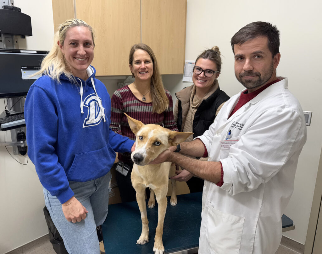 Group photo of clinicians, students and owners with Callie the dog