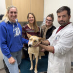 Group photo of clinicians, students and owners with Callie the dog