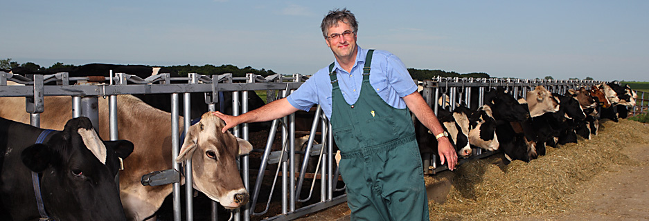 Chris Chase with beef cows