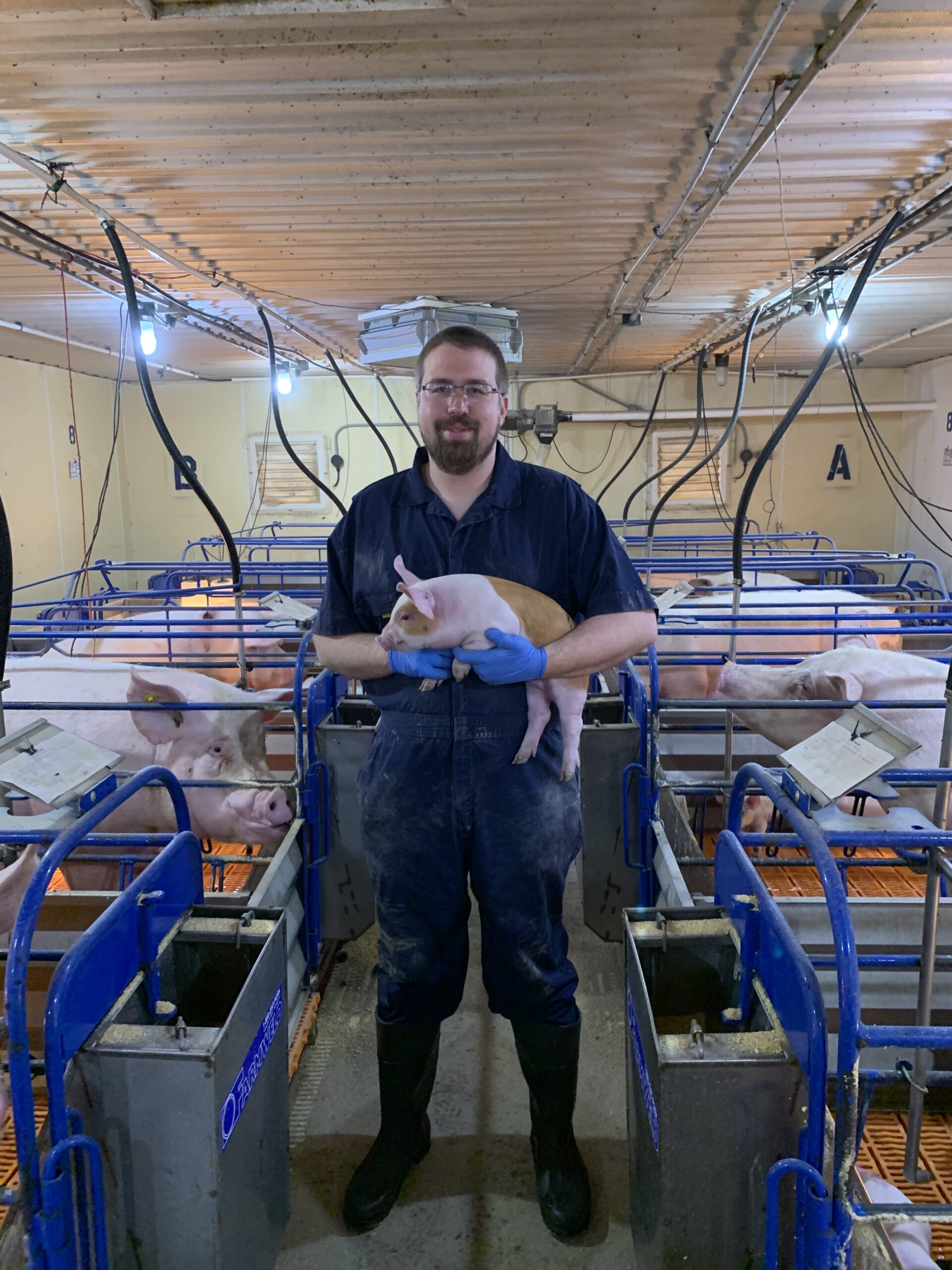Chris Sievers holding pig in swine facility