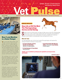 Vet Pulse Spring 2025 cover