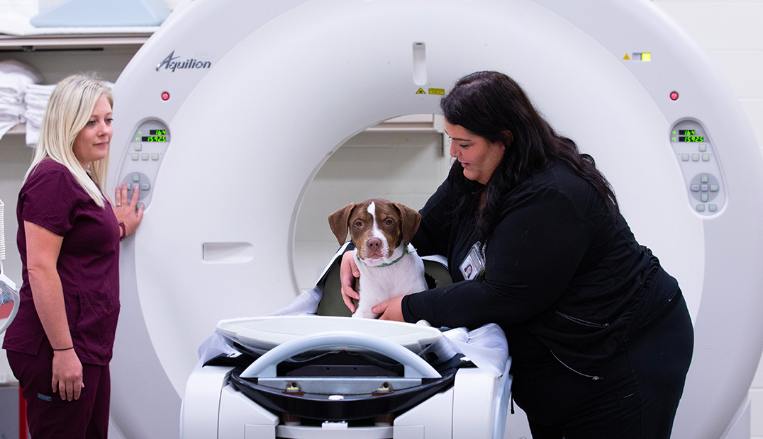 CT-20230718_Vet_Med732-feature-set