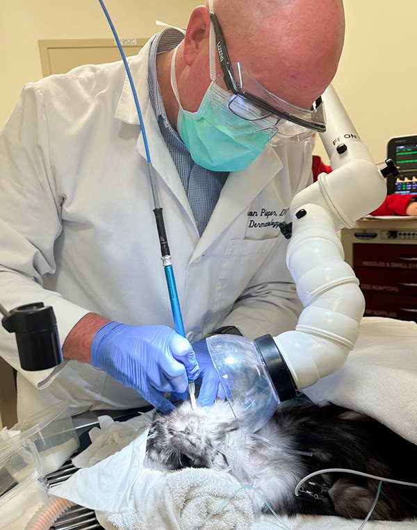 Dr. Pieper performing a procedue with the CO2 laser