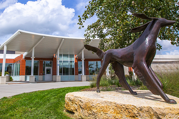Small Animal Hospital entrance