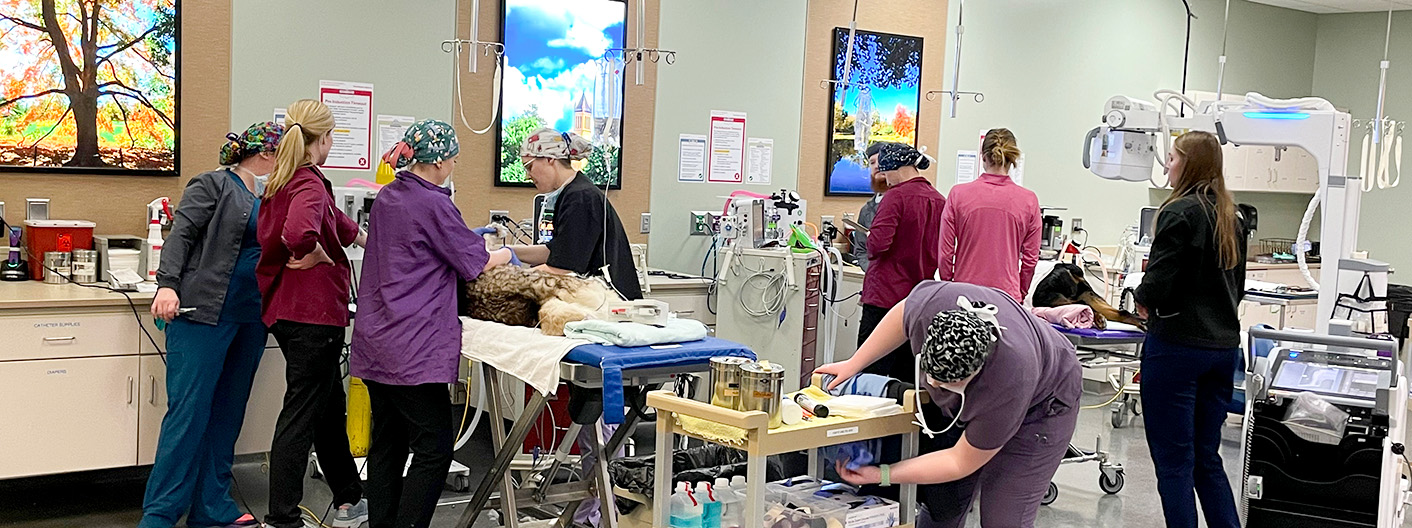 Anesthesia Surgery Suits